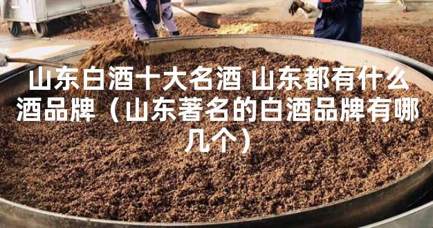 山东白酒十大名酒 山东都有什么酒品牌（山东著名的白酒品牌有哪几个）